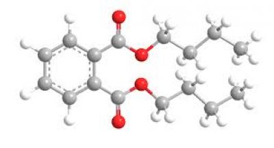 Impacts of di-n-butyl phthalate (DBP) exposure on the health of workers in the rubber processing industry: A warning from epidemiological research in the Central region