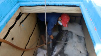 An toàn làm việc trong hầm bảo quản cá