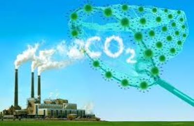 C&ocirc;ng nghệ biến CO₂ từ kh&iacute; thải th&agrave;nh vật liệu hữu &iacute;ch