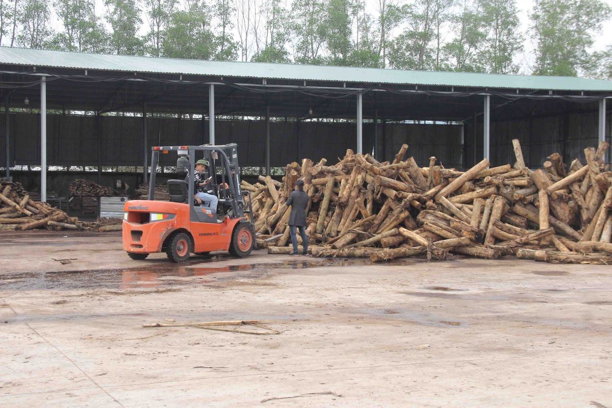 Cần triển khai quyết liệt, đồng bộ các giải pháp đảm bảo an toàn, vệ sinh lao động