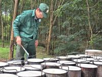 35 bệnh nghề nghiệp được hưởng bảo hiểm x&atilde; hội