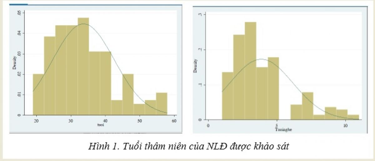 Những yếu tố ảnh hưởng đến sự tuân thủ phương tiện bảo vệ cá nhân trên công trường xây dựng