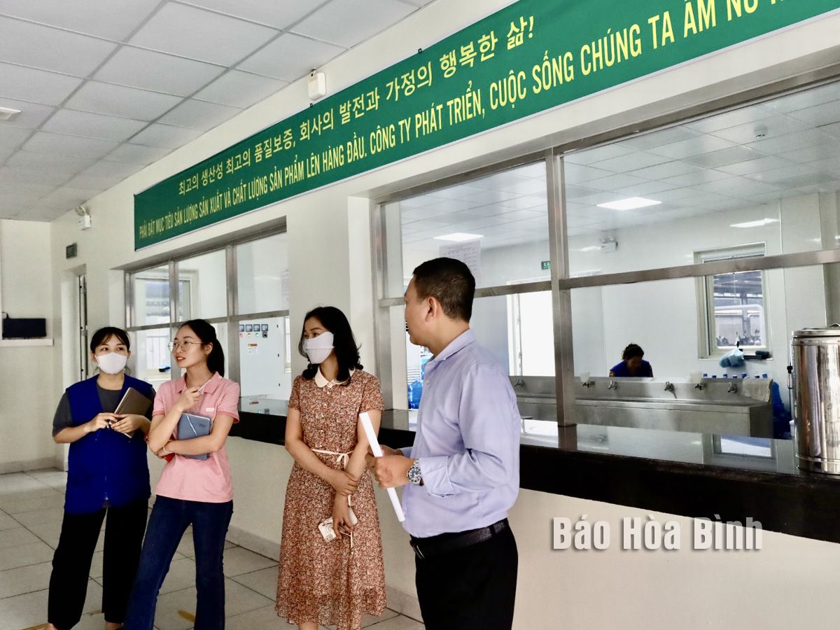 Thành phố Hòa Bình chú trọng công tác an toàn vệ sinh lao động