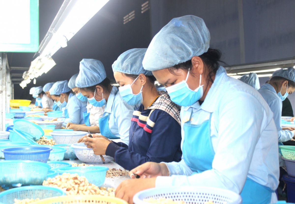 X&acirc;y dựng m&ocirc;i trường lao động an to&agrave;n